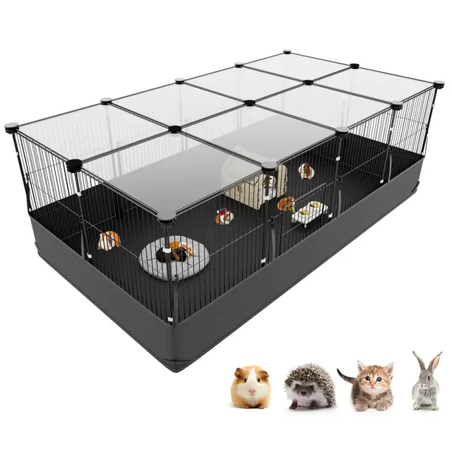 aystkniet meerschweinchen freigehege