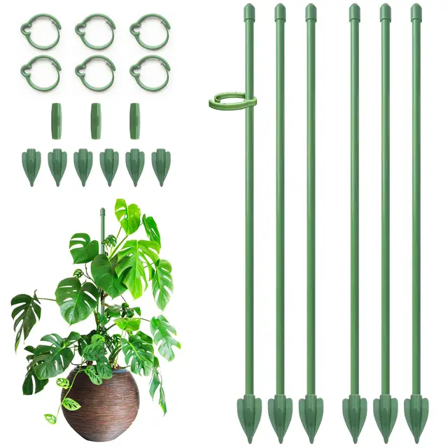 rifny pflanzenstütze 30cm 6er set mit