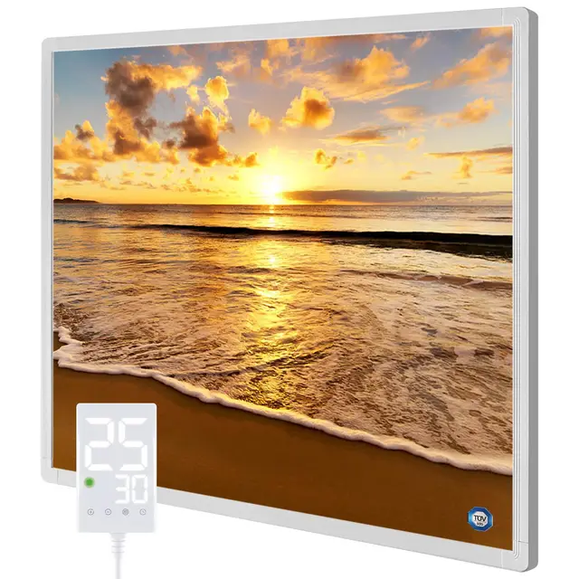 Hocosyme Infrarotheizung Bild 300W mit Touch-Thermostat