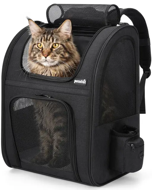 pecute Haustier-Rucksack mit Netzfenster XL Schwarz