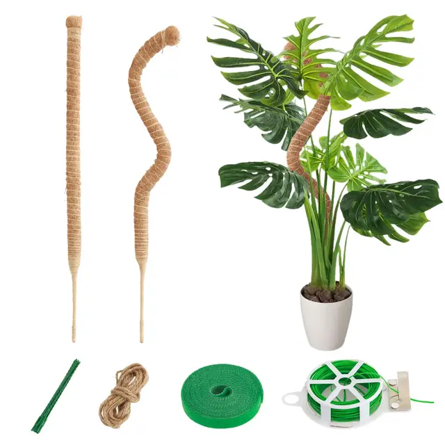 cnmtcco moosstab 60cm kokosfaser 2er set