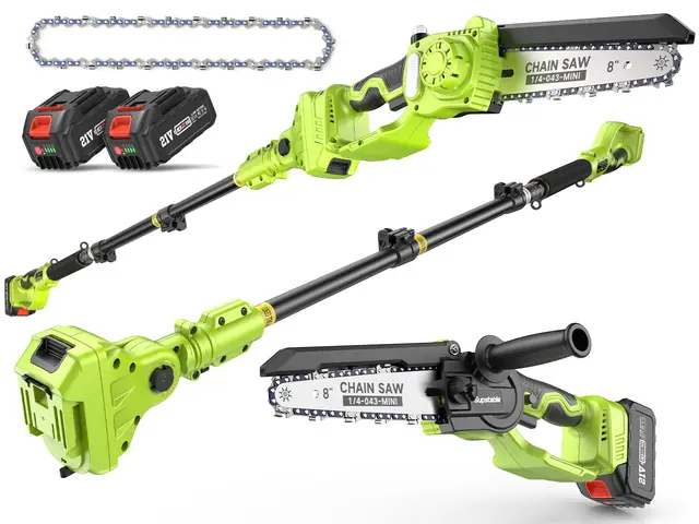 Supstable 2-in-1 Akku Hochentaster & 8 Zoll Mini Kettensäge, Astsäge mit Dual 4000mAh Akku, Teleskopstange bis 4,8 m, 800W Bürstenloser Motor – Für Baum- und Gartenpflege