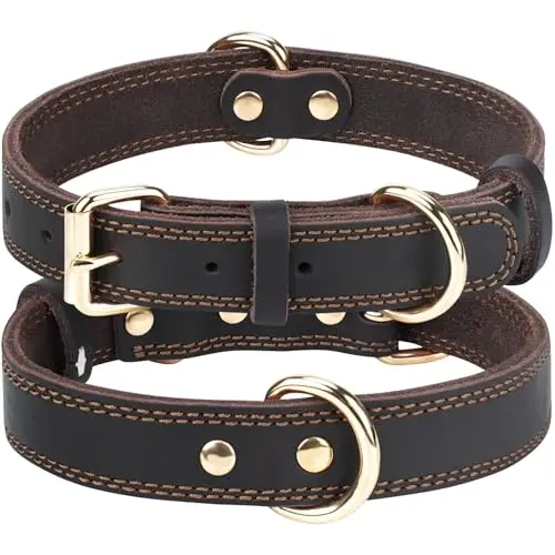 joytale leder hundehalsband groß