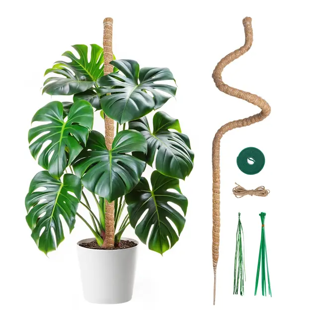 mcbazel monstera rankhilfe kokosfaser