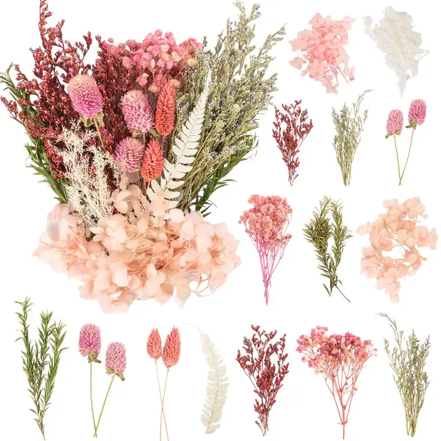 laumoe mini trockenblumen set rosen