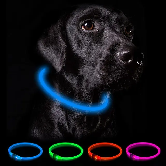 nepfaivy leuchthalsband hund usb