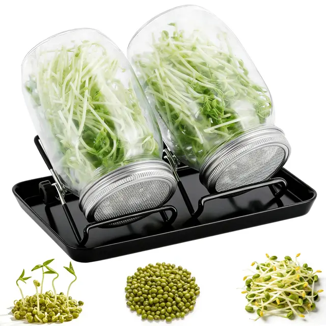 Sprossen Keimglas 2er Set – Komplettset mit 2 Gläsern, Edelstahl-Siebdeckeln (304), 2 Standringen & schwarzer Wasserschale für Keimung von Alfalfa, Brokkoli, Mungobohnen & mehr