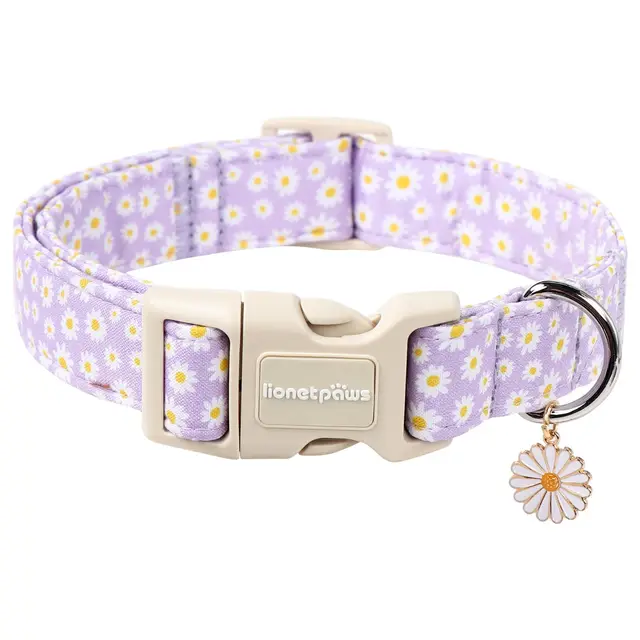 lionet paws xs hundehalsband baumwolle