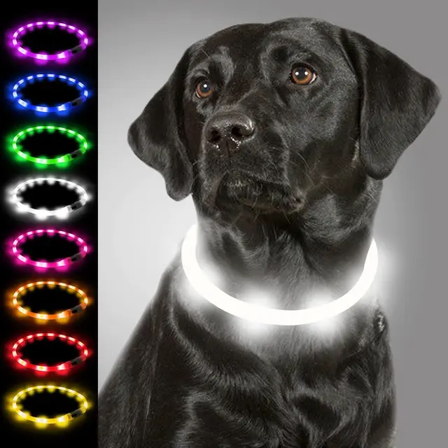 joytale led halsband hund usb aufladbar