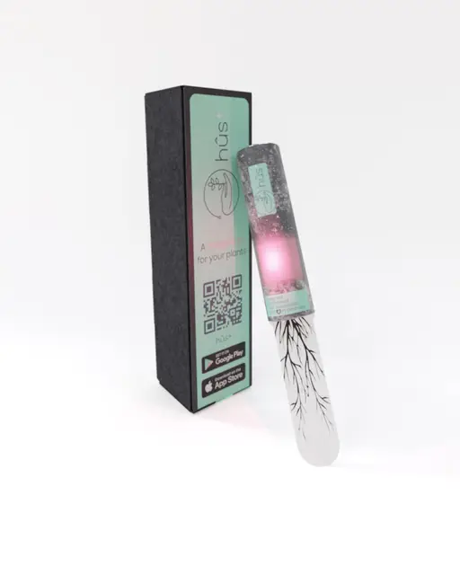flower eco pflanzensensor
