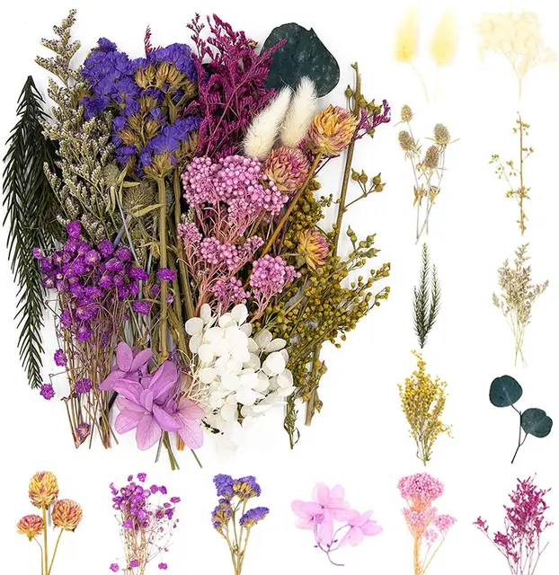 idattel trockenblumen diy set violett