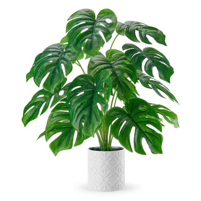 der rose künstliche monstera 71 cm