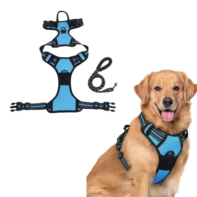 bergxperten Anti-Zieh Hundegeschirr