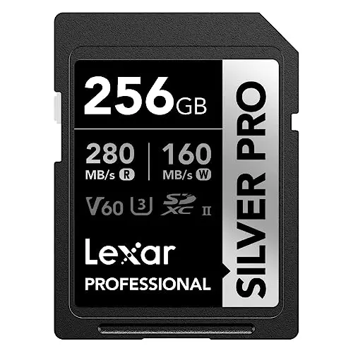 lexar silver pro sd karte 256gb