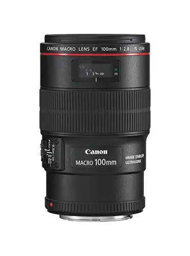 Canon EF 100mm F2.8 L IS USM Macro-Objektiv (67mm Filtergewinde, bildstabilisiert) schwarz