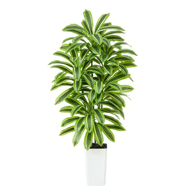 txabl künstliche drachenbaum pflanze