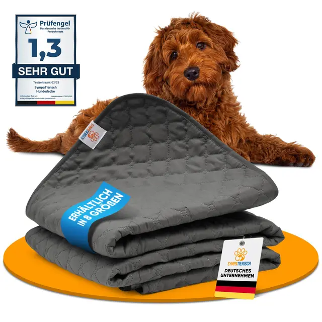 wasserdichte Hundedecke - Robuste Hundematte als Schutz für Sofa & Bett - rutschfeste Hundedecke auch für große Hunde geeignet - in der Waschmaschine waschbar - 80 x 60 cm - grau