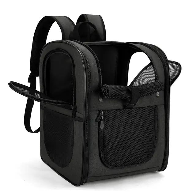 apollo walker Haustier-Rucksack DXPC058 Schwarz