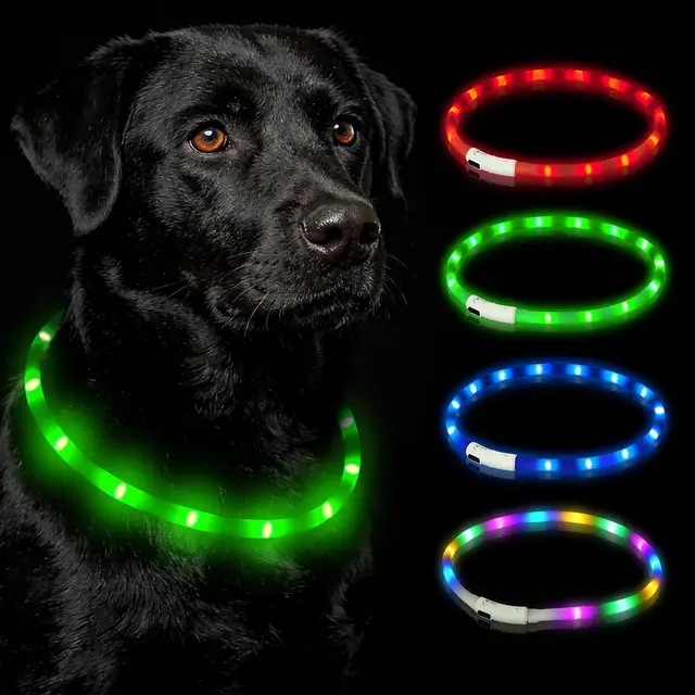 hotut leuchthalsband hund led usb