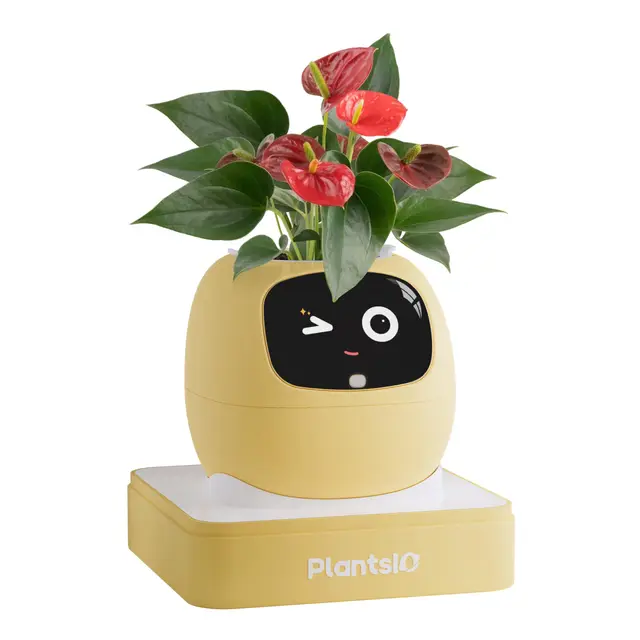 plantsio ivy smartpflanztopf