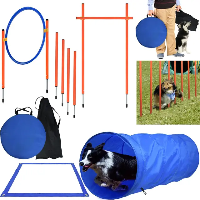 orheya agility set für hunde