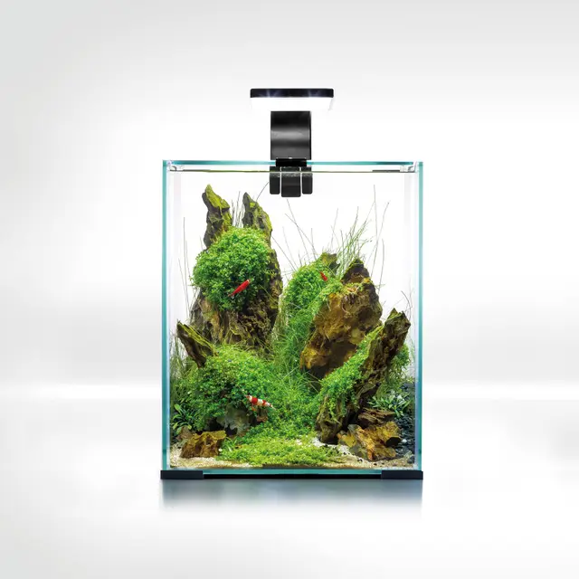 aquael shrimp set smart d&n 20 schwarz