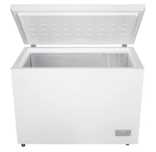 Beko CF316EWN Gefriertruhe, Kühltruhe, 308 l Nutzvolumen, 1 Gefriergutkorb, Temperaturalarm, Transportrollen, LED-Anzeigesystem, 40 db(A), in unbeheizten Räumen nutzbar, Weiß