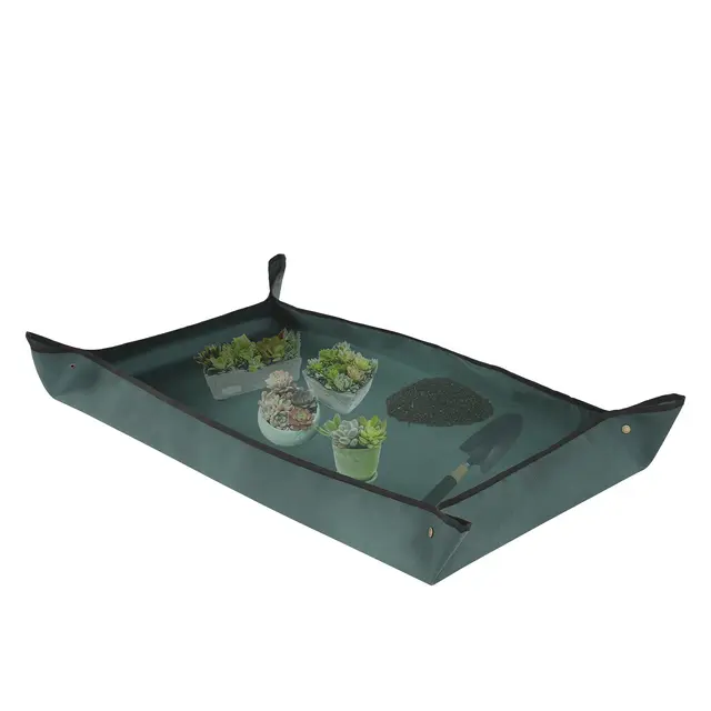 Owl Focus Oxford Pflanze Umtopfmatte