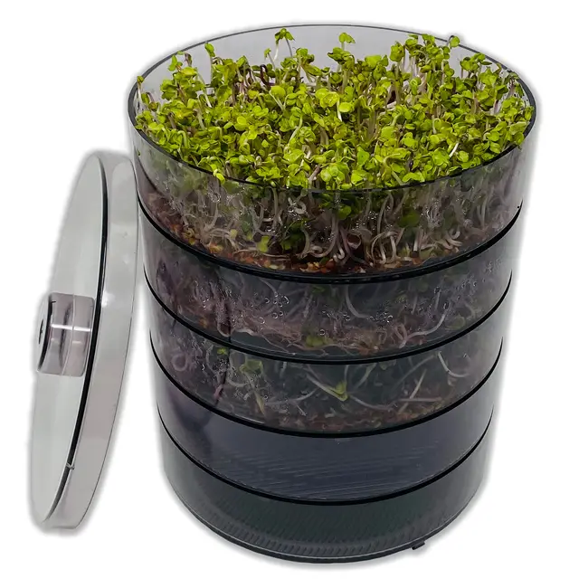 SaatPur® Keimsprossenbox Set 4 mit Vier Etagen als Sprossen Keimgerät: Sprossen Anzucht sowie Microgreens Anzuchtschalen. Keimbox, Keimschale, Keimschachtel, Sprossenbox, Sprossenhaus, Keimgerät