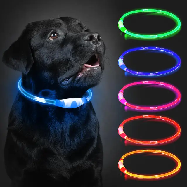 cocodonut led leuchthalsband hund