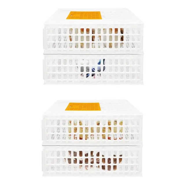 Geflügel Transportkiste, 77x55x27cm, Hühner-Transportkäfig, Geflügeltransport Transportbox Geflügeltragetasche für Hühner, Enten, Wachteln (Weiß, 4Stück)