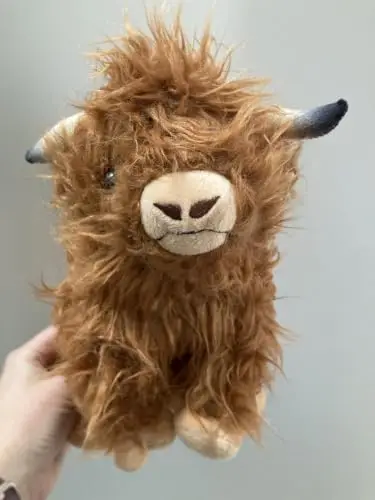 Schottland Geschenke, 28CM
