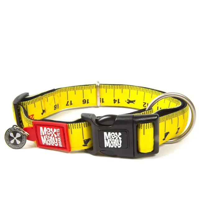 Max & Molly Gotcha! Hundehalsband Halsband Hund mit Smart ID, gepolstertes Neopren Halsband mit Design für kleine Hunde, wasserdicht, bequem, verstellbar, Ruler, S