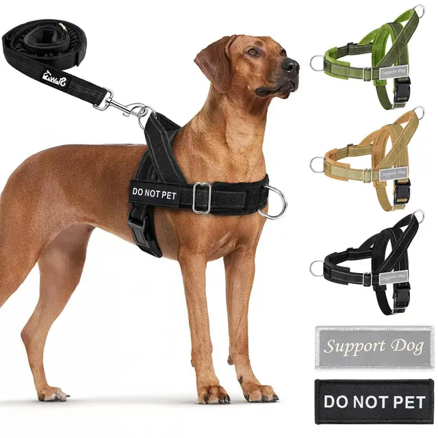 Eyein DEPRO Hundegeschirr mit Leine