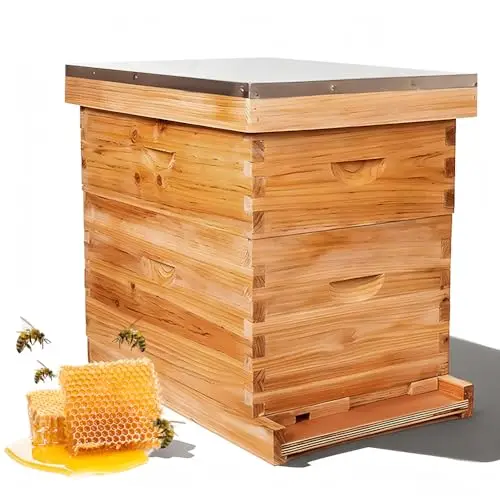 zertylre bienenstock starterset 10