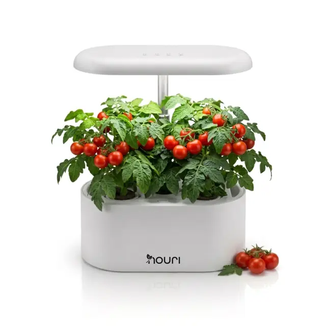 Nouri 5-Pod Smart Garden | mit Salat aus Alten Sorten | Hydroponic System | Smart Garden für Indoor Garten & Indoor Kräutergarten | LED-Pflanzenlampe | Einfache Bedienung