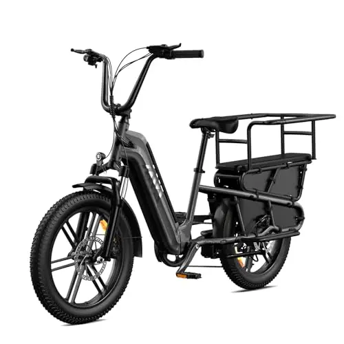 TST Elektrofahrrad für Erwachsene E Bike mit 20" Fat Reifen & Heckgepäckträger, Lasten E Bike 48V 15Ah Akku 250W Motor 60km Maxi Reichweite 204kg Zuladung, App-Steuerung, Federung,Tiefer Einstieg