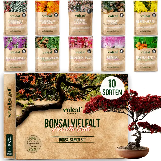 valeaf 10 bonsai samen 5 kontinente