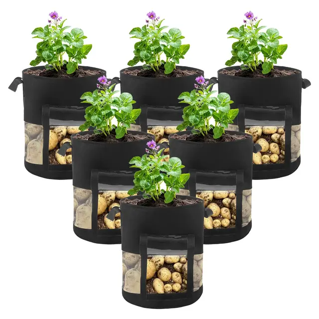LITLANDSTAR 6 Stück Kartoffel Pflanzsack, 10 Gallonen Kartoffel-Pflanzbeutel aus Vlies Pflanztasche mit Transparentes Fenster & Griffen, Stofftopf für Tomaten, Blumen, Pflanzen und Mehr