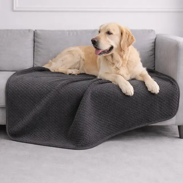 dreamzie hundedecke wasserdicht