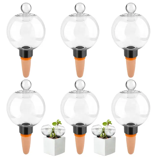 pipihome bewässerungskugeln 6x 500ml