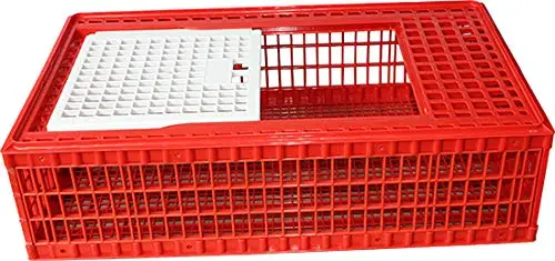 Transportkiste für Geflügel aus Kunststoff, 96 x 56,5 x 27 cm, Sehr Stabil, Leicht zu Reinigen