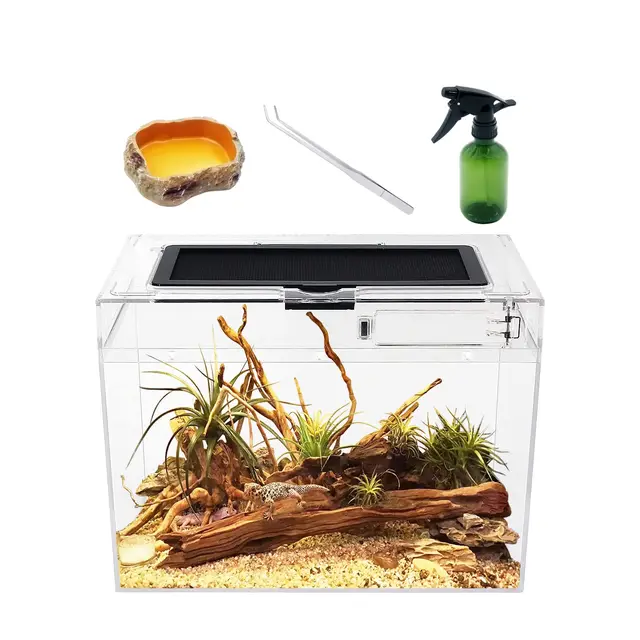 reptile growth mini faunarium
