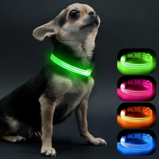 visinite led leuchthalsband hund klein