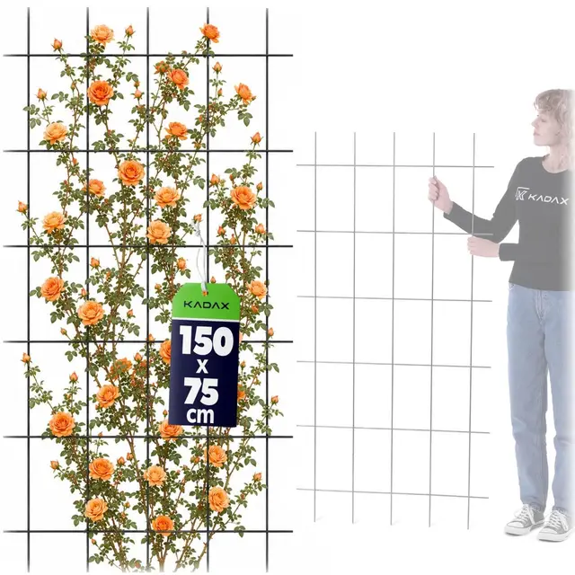 kadax rankgitter 75 x 150 cm metall