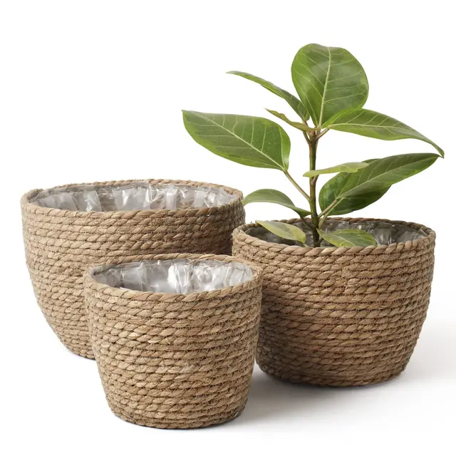 La Jolíe Muse Aufbewahrungskorb, 3er Set aus gewebtem recyclebarem Papierseil, Aufbewahrungsboxen für Accessoires Schminke Mint grün und weiß