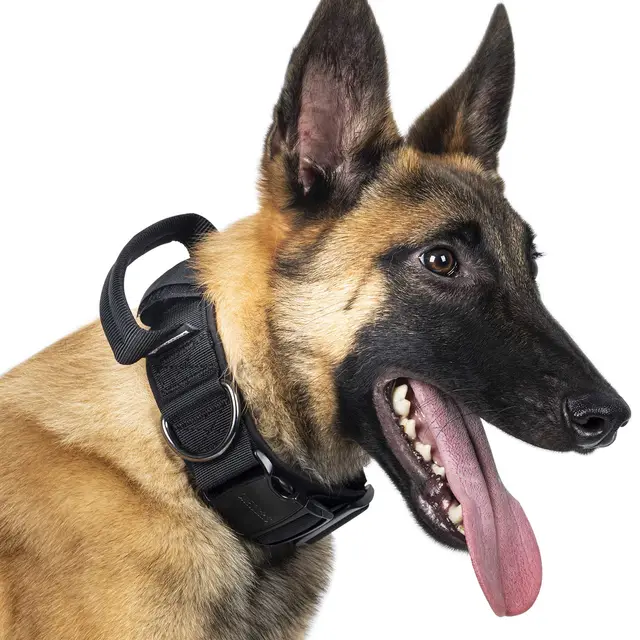onetigris hundehalsband metall