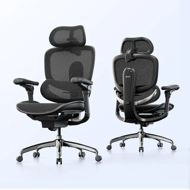 SIHOO Doro C300 Fauteuil de bureau