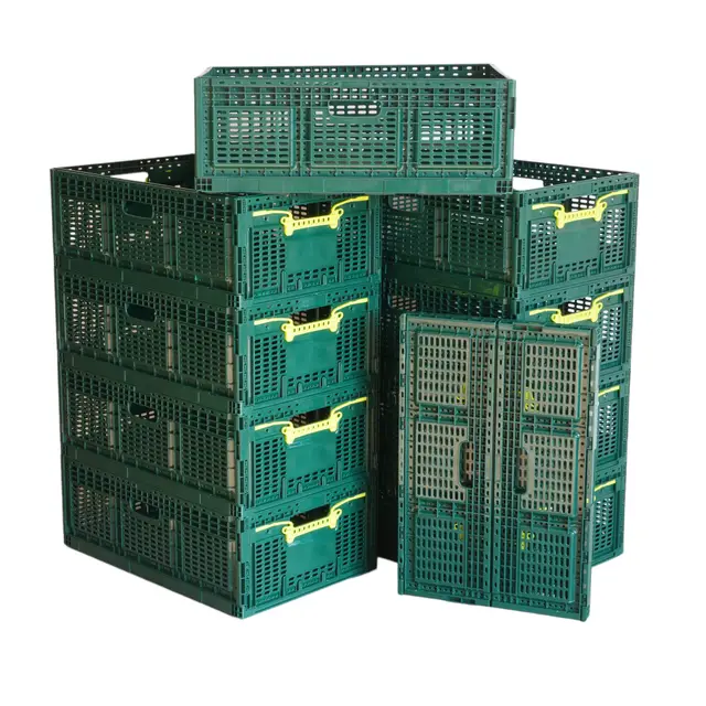 Logiplast Klappbox Gemüsekiste 60x40x21 cm 46L