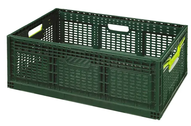 Logiplast Klappbox Gemüsekiste 60x40x22 cm Grün
